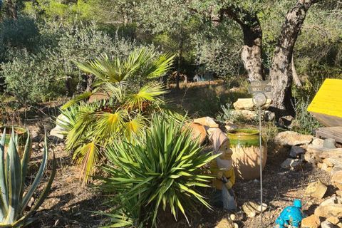 Landejendom i Ginestar, Tarragona, Ginestar - € 185.000 | Ref: CC824 - foto 30